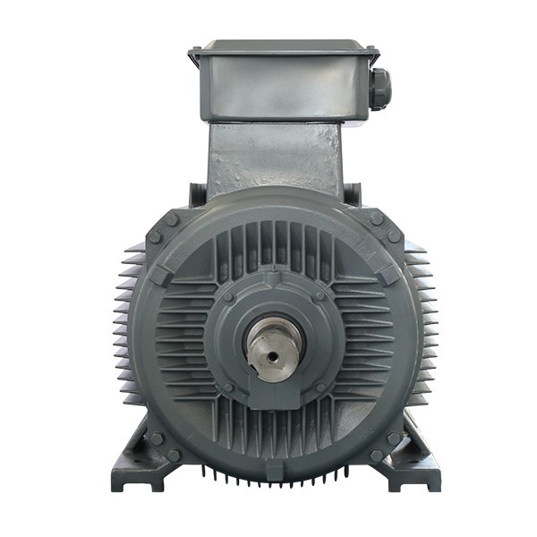 220v ac motor 220v ac motor